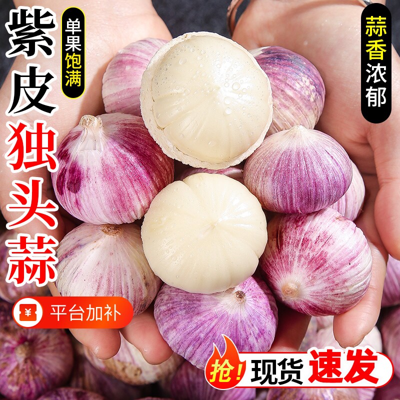 紫皮独头蒜农家新干2026大蒜头应当季独蒜5斤干蒜非湿蒜时令蔬菜