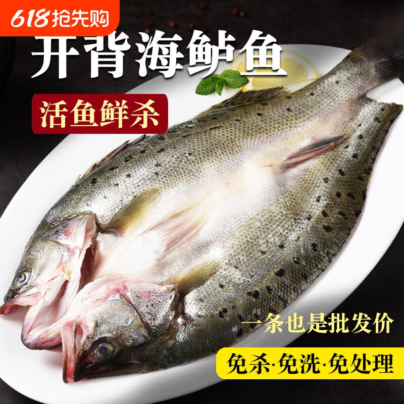 海鲈鱼开背新鲜冷冻鲜活深海鱼白蕉七星海卢鱼水产烤鱼半成品商用