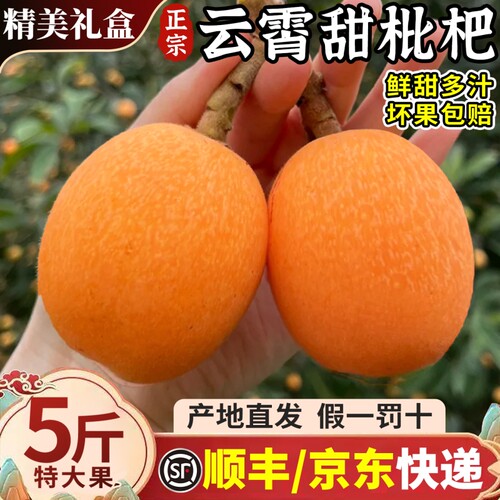 5斤礼盒云霄枇杷鲜果当季新鲜现摘水果整箱琵琶批把顺丰包邮大果