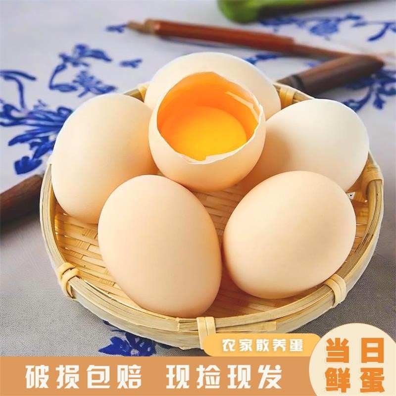 正宗散养笨鸡蛋土鸡蛋鲜鸡蛋虫草蛋新鲜营养早餐辅食整箱包邮发货