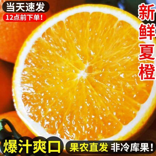 正宗夏橙脐橙湖北秭归脐橙新鲜橙子特级农场直发孕妇手剥橙当季