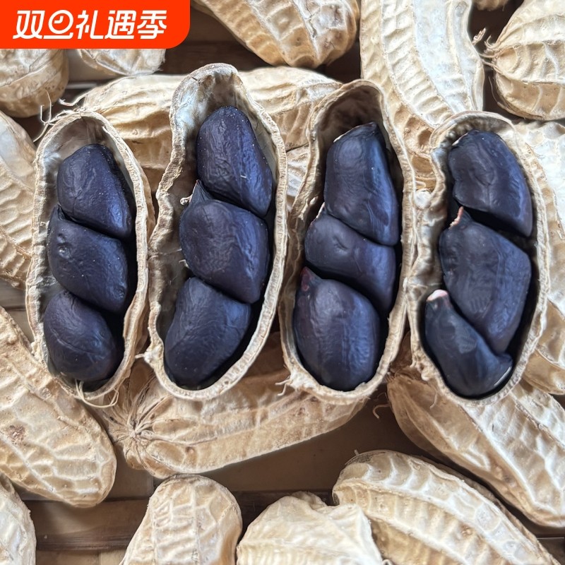 云南哀牢山小粒黑花生带壳晒干富硒黑花生精选新货黑皮花生米