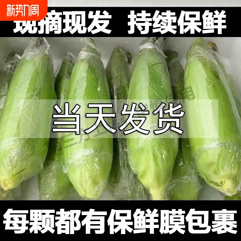 广西现摘新鲜白糯牛奶玉米5-9斤当季现摘嫩苞谷代餐甜糯玉米棒子