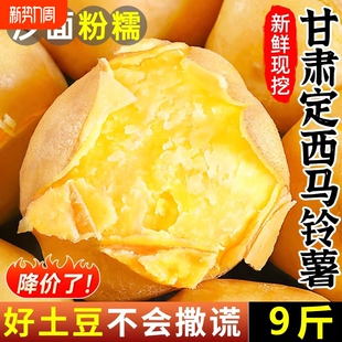 甘肃定西沙面粉糯土豆新鲜马铃薯农家洋芋批发5 9斤洋芋大果