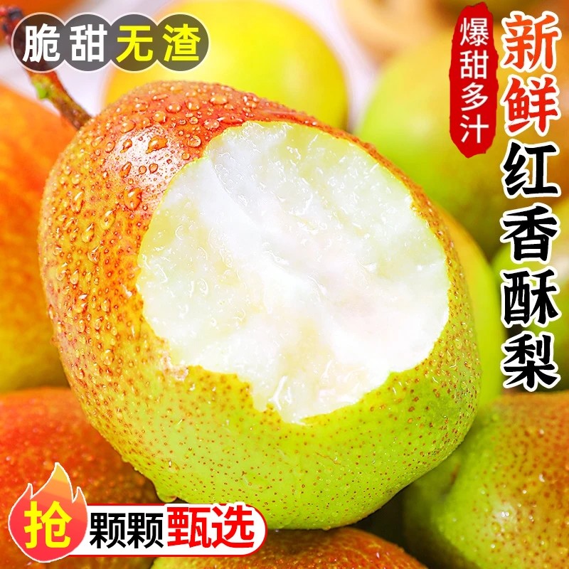 红香酥梨子新鲜水果现摘整箱10应当季酥脆青雪贡冠梨5孕妇专用斤,水产肉类/新鲜蔬果/熟食,梨,淘宝优惠券,粉丝福利购,淘宝优惠卷