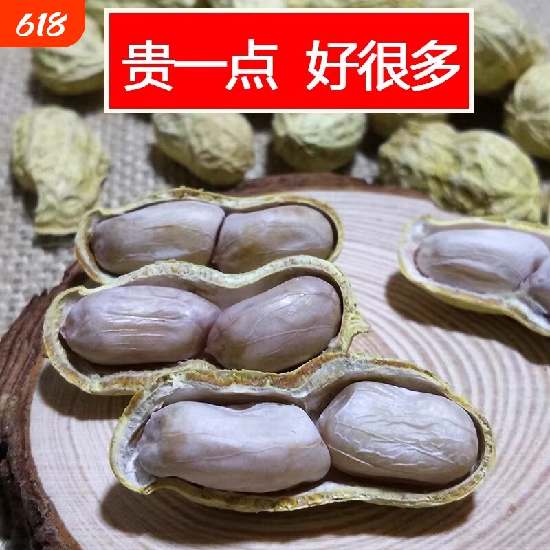 新龙岩水煮花生白晒干盐水煮咸干湿烤500gx2袋装散熟零食特产原味
