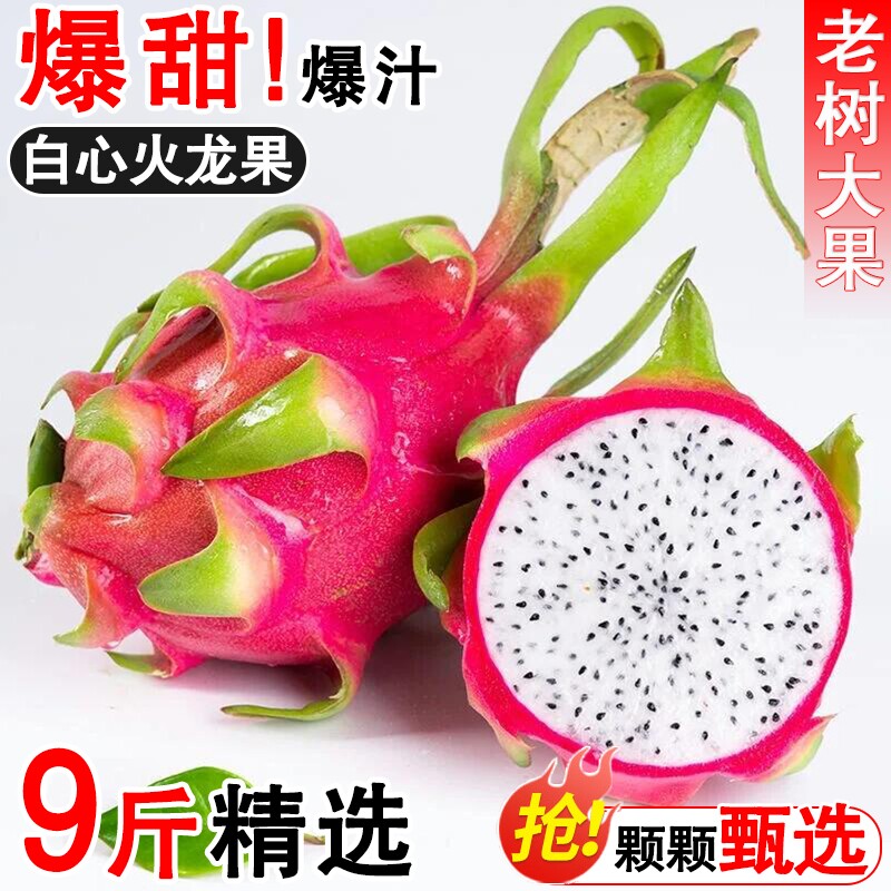 越南白心火龙果当季水果新鲜整箱甜红蜜宝心金都9斤现摘鲜果精品