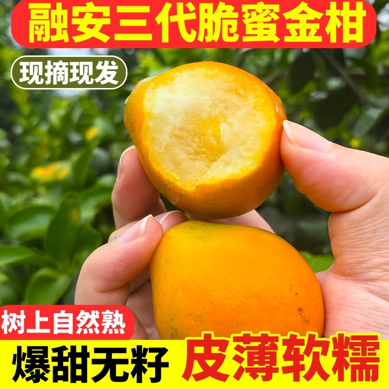 【顺丰包邮】广西融安第三代脆蜜金柑无籽金桔新鲜水果大果纯甜,水产肉类/新鲜蔬果/熟食,桔子,淘宝优惠券,粉丝福利购,淘宝优惠卷