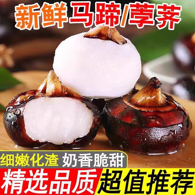 广西牛奶马蹄新鲜马蹄荸荠大马蹄农家白马蹄脆甜无渣水果蔬菜