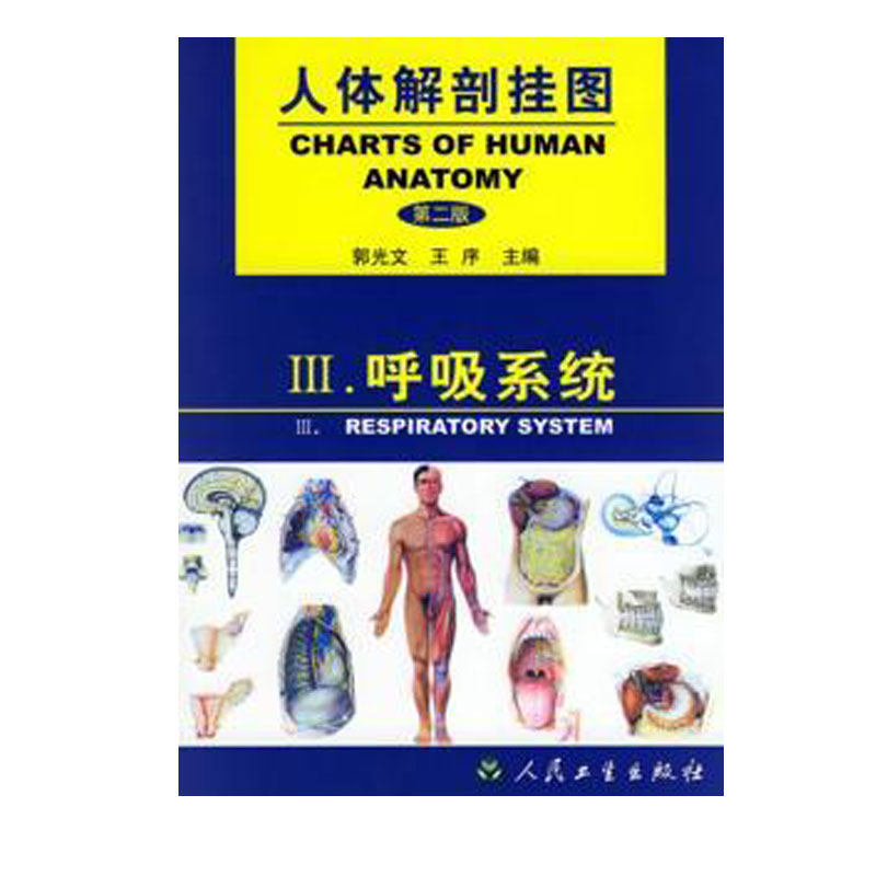呼吸系统 人体解剖挂图 第2版 全国许多高等及中等医院校的教学中被广泛采用 郭光文 序主编 9787117038041 人民卫生出版社