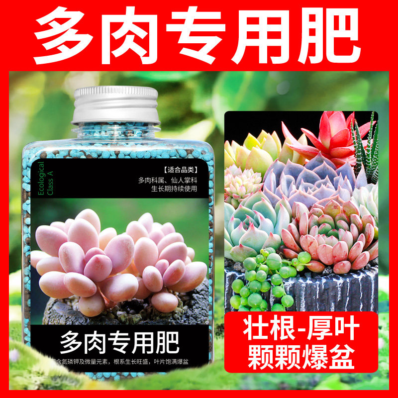 速发多肉肥料专用肥颗粒花释肥复合肥缓肥家用盆栽通用营养肥料促