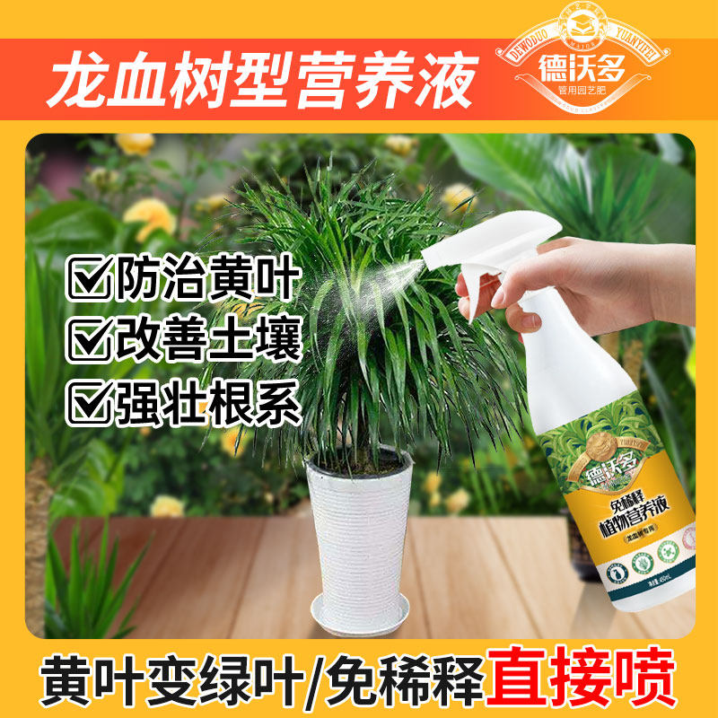 速发龙血树肥料专用肥液养营室内盆栽植物绿植龙须树氮磷钾免稀释