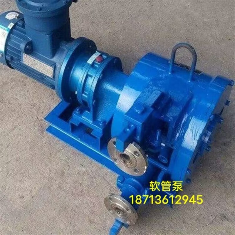 软管泵RGB50颗粒砂浆蠕动泵 养殖场抽粪泵 地沟油餐厨垃圾输送泵
