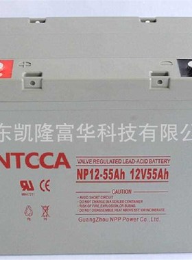 NP55-12阀控密封铅酸电池12V5H光伏机房UPS后备电源恩科蓄电池