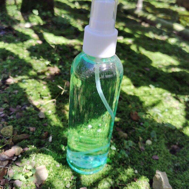 名贵菖蒲蝉小川迷你桌面盆栽黄金姬金钱室内绿植观叶植物文人草