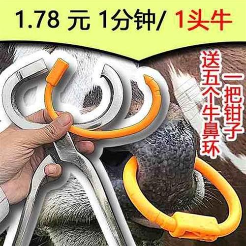 极速穿牛鼻子牵引扣的工具穿孔钳子自动养牛场设备用养殖牛鼻环牛