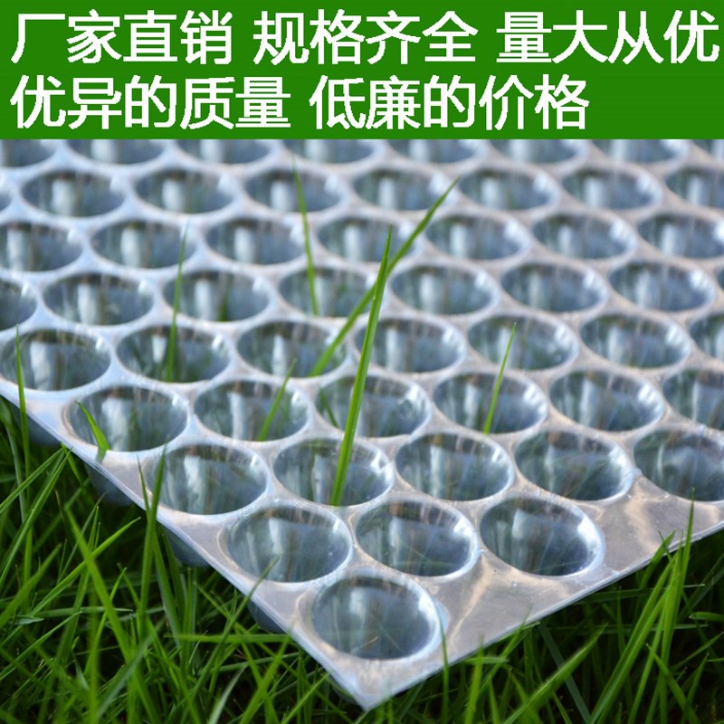 塑料水稻育秧盘9寸机插平盘塔式手抛稻苗秧盘谷物育苗盆透明434孔