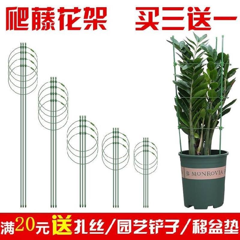 好货盆载花卉支撑杆藤类植物攀爬架室内西红柿爬藤架子花支架黄瓜