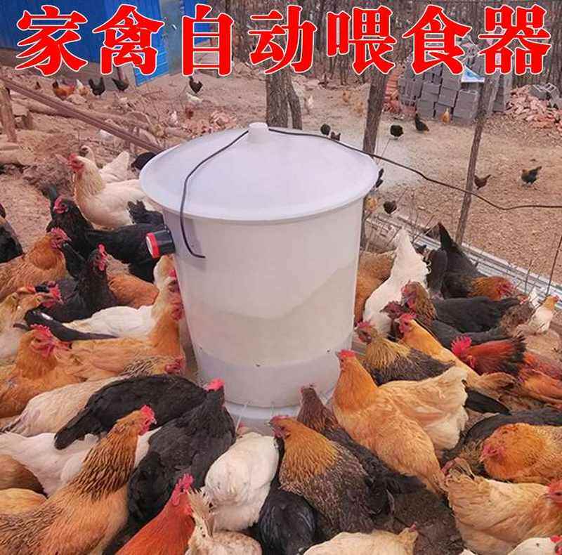 极速散养鸡鸭鹅鸽鸡槽食槽家禽养殖全自动下料饲料桶喂鸡喂食器喂