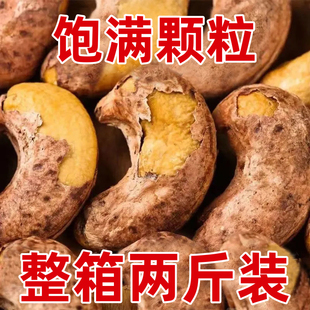 生腰果仁180新货原味越南商用5斤无添加孕妇烘培零食散装批发干果