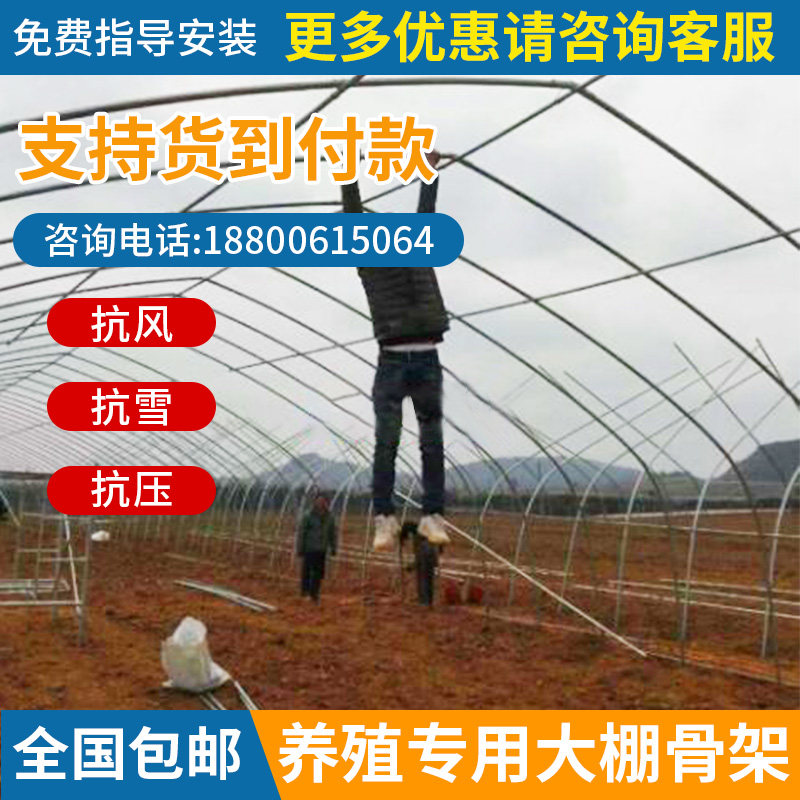 现货速发椭圆管养殖大棚全套养鸡鸭鹅大棚骨架搭建鸡舍猪舍大棚钢