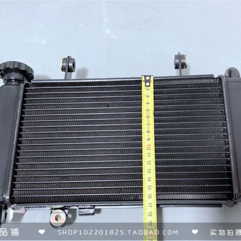 现货速发战隼小忍者摩托车雅致水箱风扇永源散热器枭冷地平线50