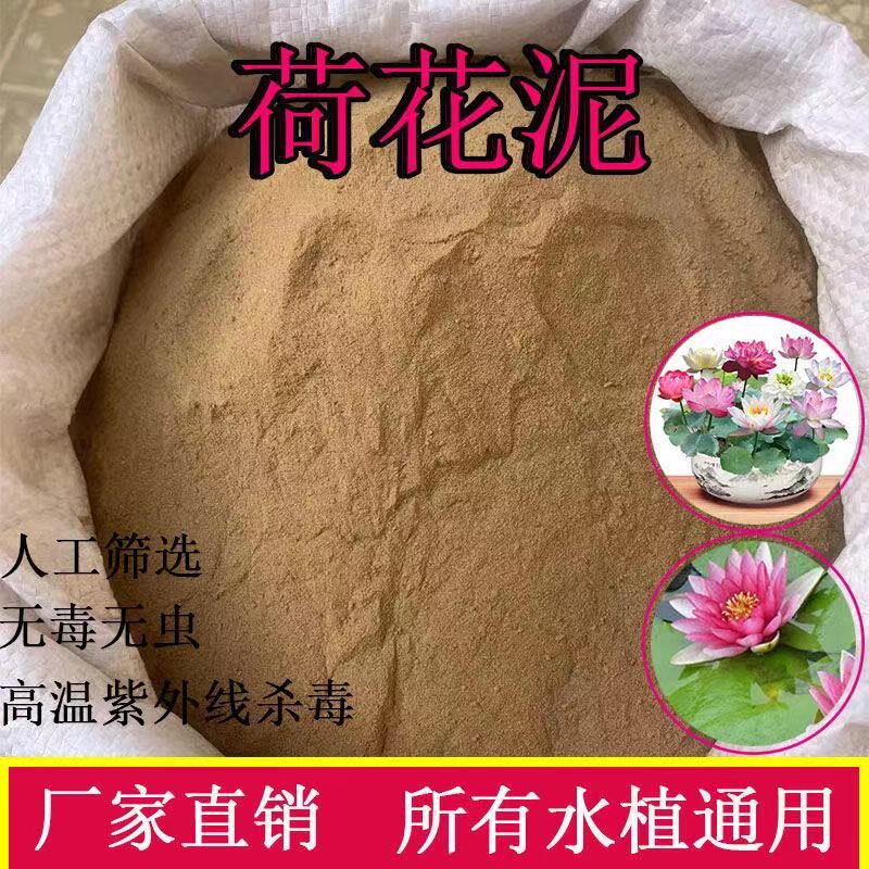 现货速发泥土荷花纯正荷塘泥碗莲泥土铜钱草水生植物河淤泥营养土