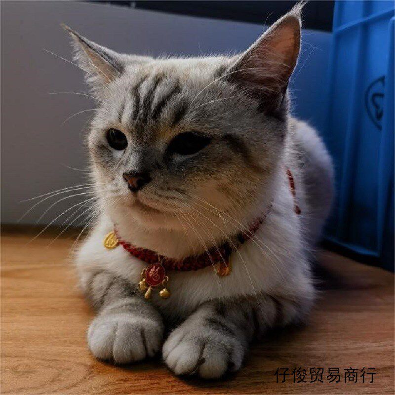 现货速发猫咪铃铛项圈刻名字铃铛脖圈手工编织小猫脖子小狗小铃铛