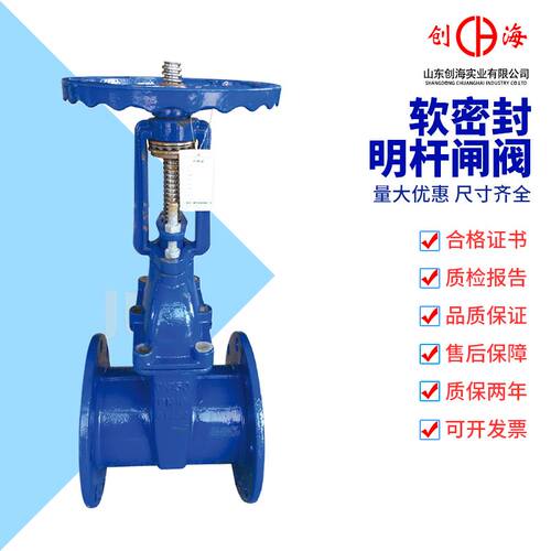 现货速发。铸钢明杆法兰软密封闸阀Z41X-16C 1球墨铸铁不锈钢弹性