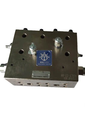 RF2B25J10B1AM-915-0-0-L-4X双向平衡阀船用液压阀