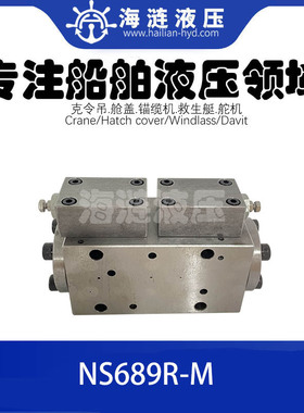 NS689R-M双液控单向阀组DWG NO.CA-A30992