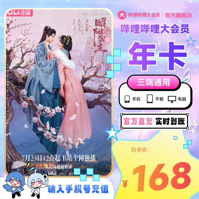 哔哩哔哩大会员年卡12个月卡bilibili大会员年卡直充 昭阳公主图片