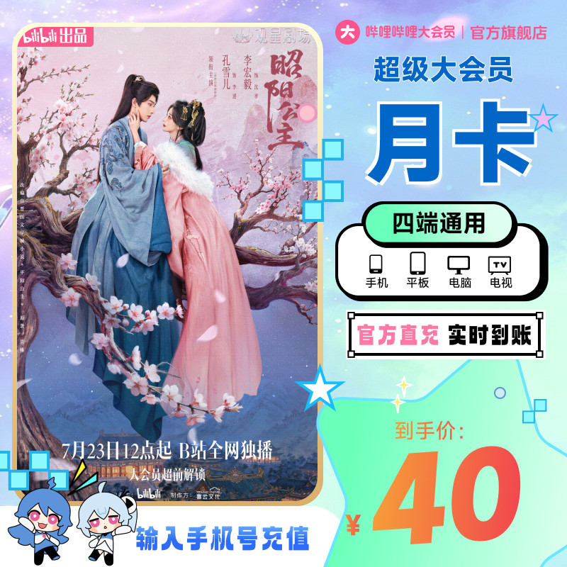 【支持电视】哔哩哔哩超级大会员月卡1个月卡 B站大会员 四端通用