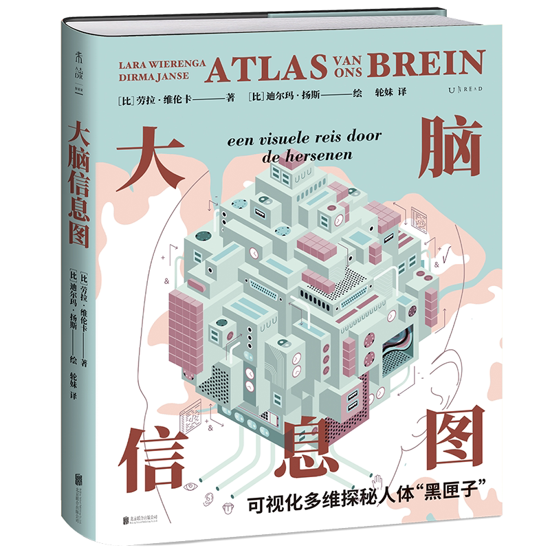 未读大脑信息图科普学习创造