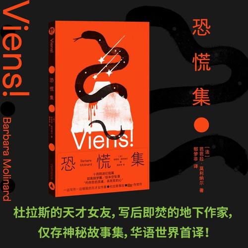 恐慌集 十四则迷幻短篇，献给神经质的我们 杜拉斯的天才女友，芭芭拉仅存神秘奇书，华语世界首译！神秘/神经故事集 野望 贝贝特