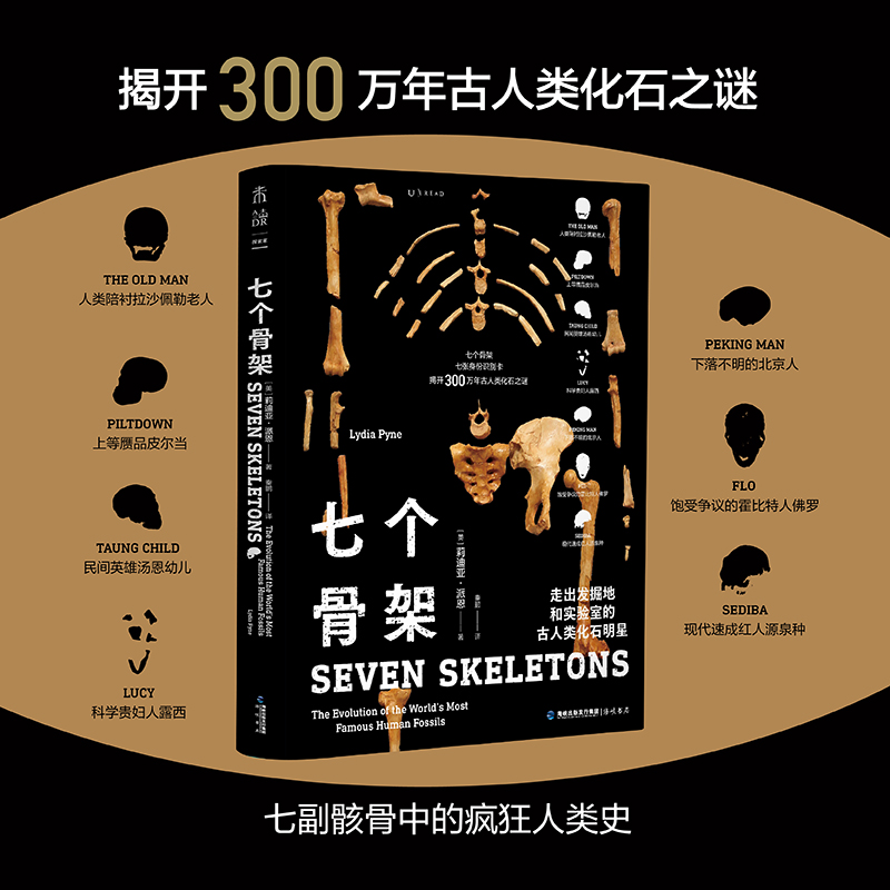 未读七个骨架古人类化石
