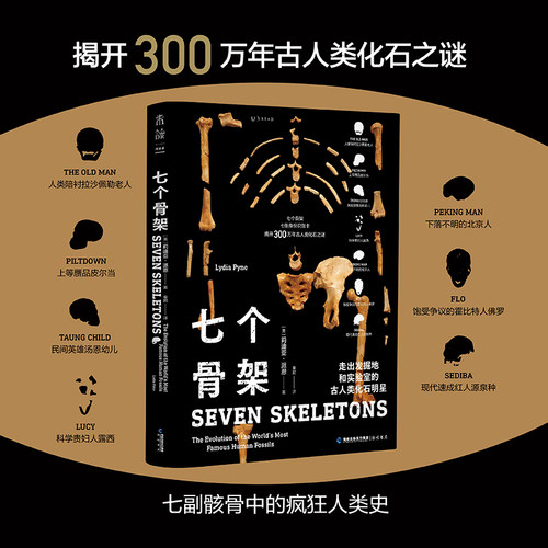 未读七个骨架古人类化石