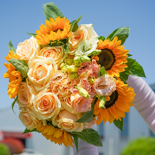 鲜花玫瑰花比顺丰包邮无土栽培