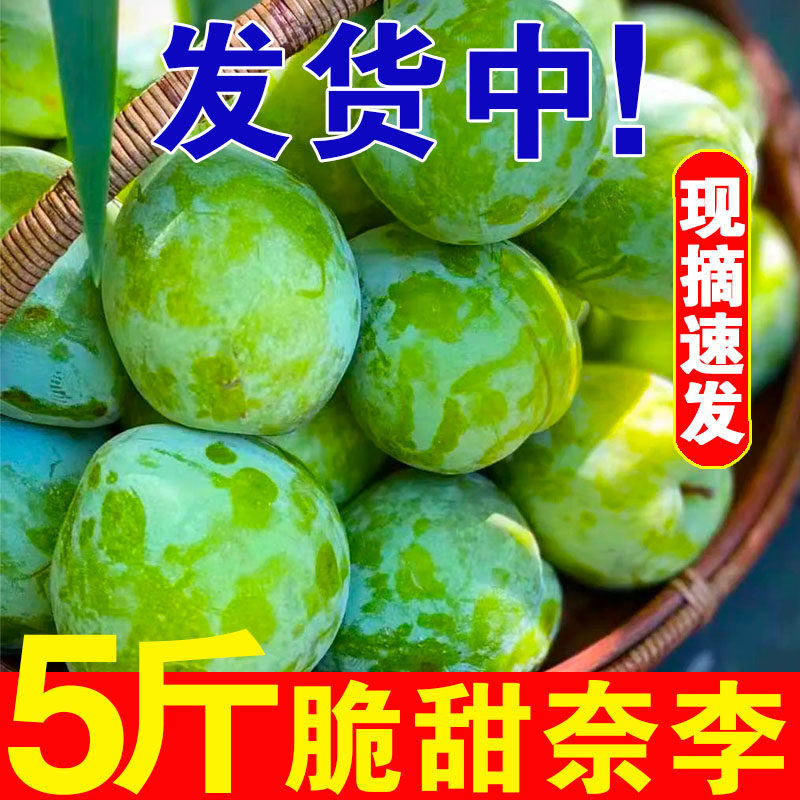 正宗脆甜奈李 新鲜油奈孕妇水果脱骨桃形李子5斤包邮非黄金蜂糖李