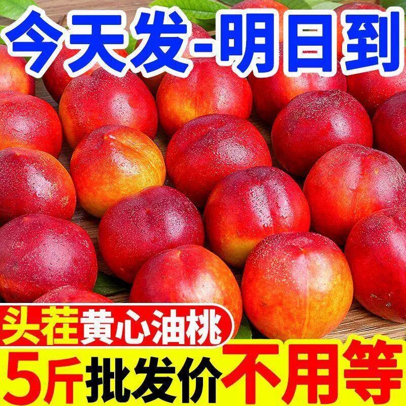 黄心油桃5斤应季大桃子新鲜水果当季现在水密桃整箱包邮蜜脆桃10