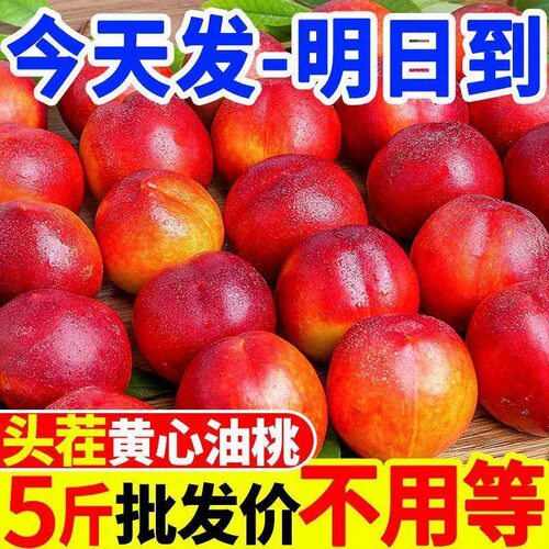 黄心油桃3斤应季大桃子
