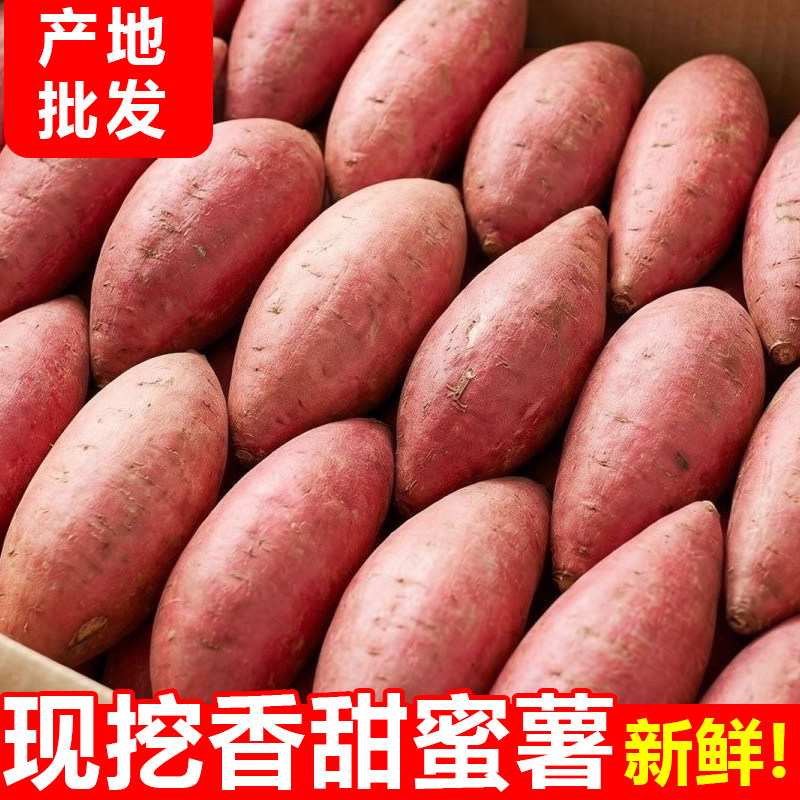 26年新鲜蜜薯沙地糖心红心地瓜农家自种黄心番薯西瓜红现挖板栗