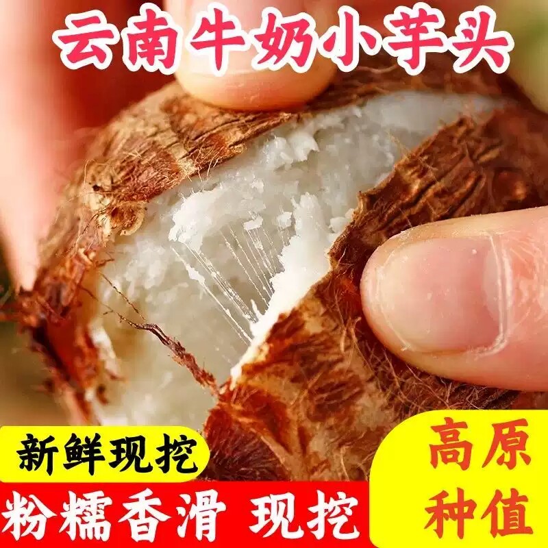 云南新鲜小芋头软糯香甜农家自种装牛奶芋头毛芋头艿芋头香芋子芋