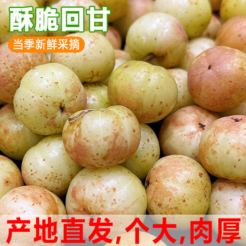 潮汕油柑果新鲜崩坎油甘果余甘子牛甘果滇橄榄甜种柿饼甜油柑现摘
