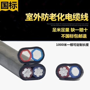 极速国标2芯3芯电缆线铝芯家用户外电线4 6 10 16 2V5平方双芯铝