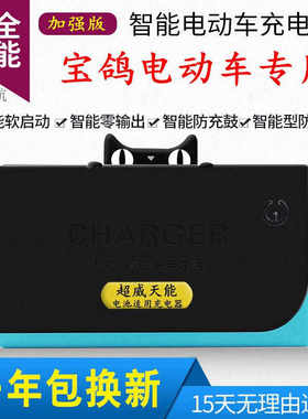 极速宝鸽电动车电瓶充电器48V12AH20AH60V64V72V84VS96V24V32通用