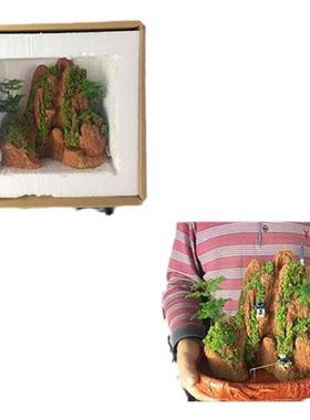 极速厂销厂促可狄吸水石盆景假山流水摆件家居上水石Y摆件雕刻石