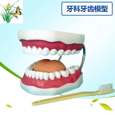 极速Dental Materials/Dental Consumables/Oral InstrumWents/De