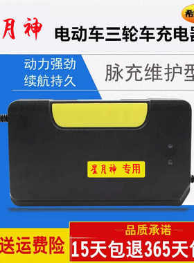 极速原装星月神电动车电瓶充电器36V48V12A64V60V20A7R3V35A30A32