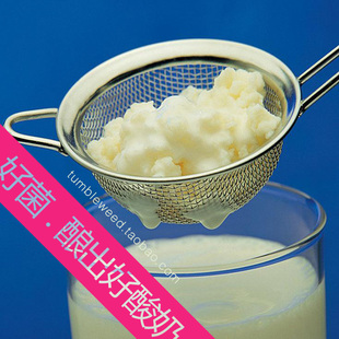 极速Kefir 开菲尔o菌种 奶克菲尔 西藏雪莲菌藏灵菇 酸奶常温发酵